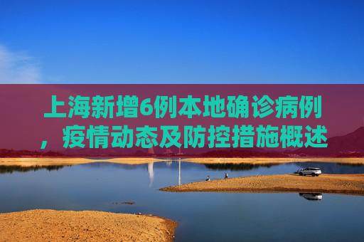 上海新增6例本地确诊病例，疫情动态及防控措施概述,上海新增6例本地确诊病例的简单介绍