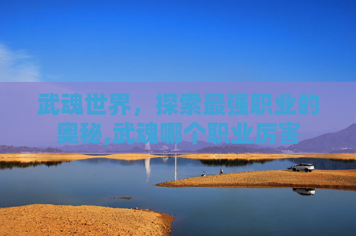 武魂世界，探索最强职业的奥秘,武魂哪个职业厉害