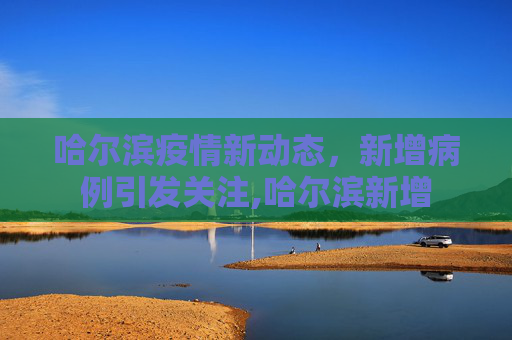 哈尔滨疫情新动态，新增病例引发关注,哈尔滨新增