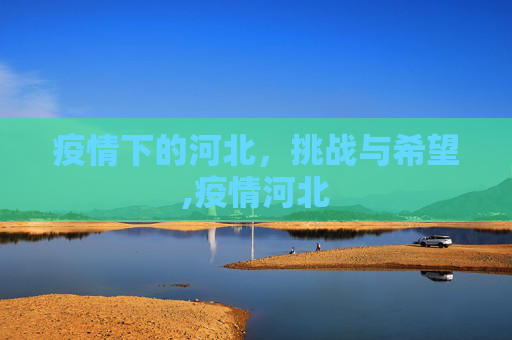 疫情下的河北，挑战与希望,疫情河北