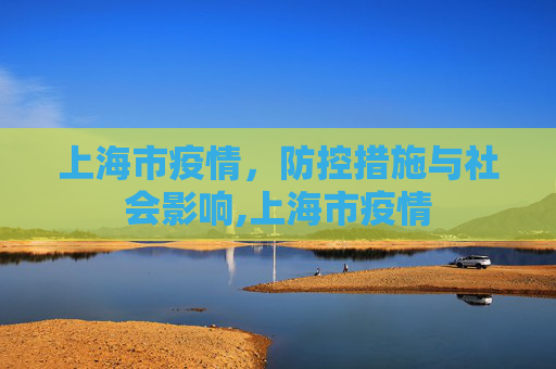 上海市疫情，防控措施与社会影响,上海市疫情