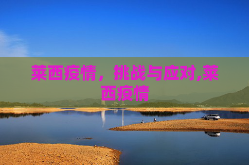 莱西疫情，挑战与应对,莱西疫情