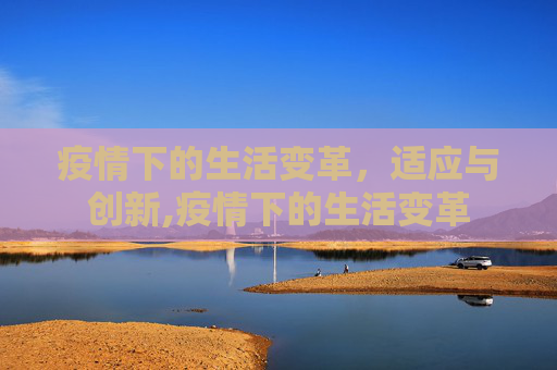 疫情下的生活变革，适应与创新,疫情下的生活变革