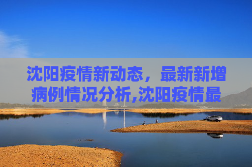 沈阳疫情新动态，最新新增病例情况分析,沈阳疫情最新新增病例
