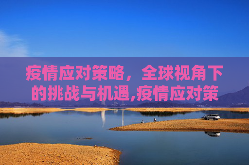 疫情应对策略，全球视角下的挑战与机遇,疫情应对策略
