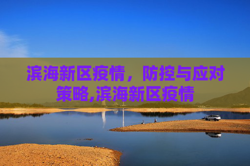 滨海新区疫情，防控与应对策略,滨海新区疫情
