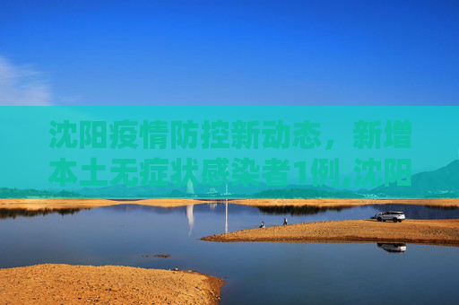 沈阳疫情防控新动态，新增本土无症状感染者1例,沈阳新增本土无症状1例
