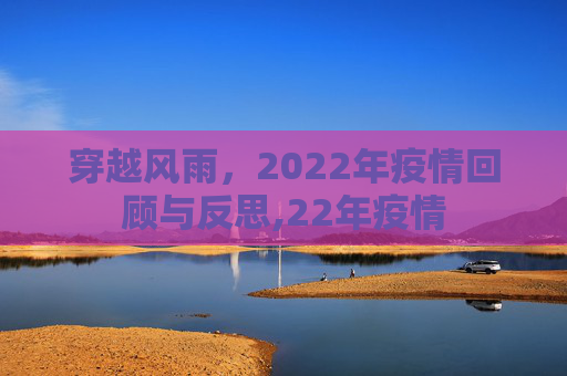 穿越风雨，2022年疫情回顾与反思,22年疫情