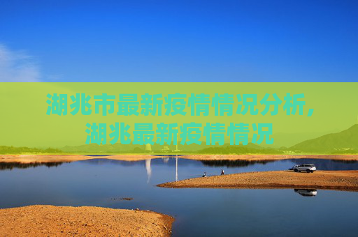 湖兆市最新疫情情况分析,湖兆最新疫情情况