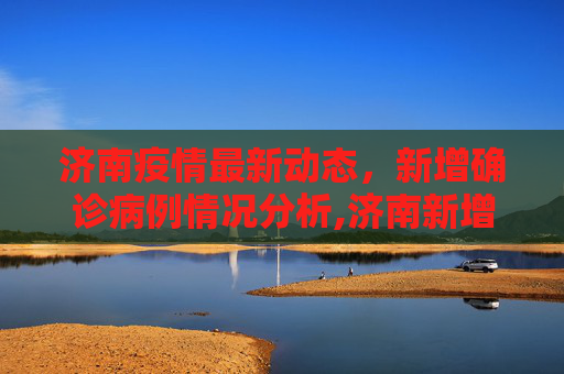 济南疫情最新动态，新增确诊病例情况分析,济南新增确诊病例