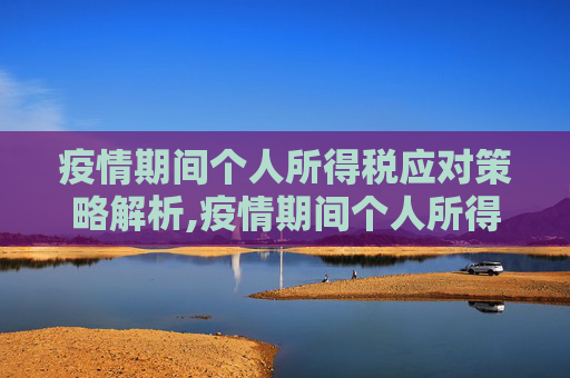 疫情期间个人所得税应对策略解析,疫情期间个人所得税应对策略解析