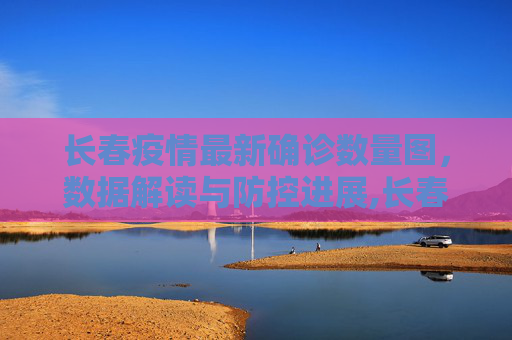 长春疫情最新确诊数量图，数据解读与防控进展,长春疫情最新确诊数量图