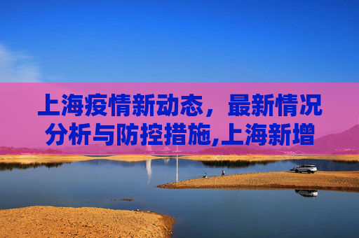 上海疫情新动态，最新情况分析与防控措施,上海新增疫情最新情况