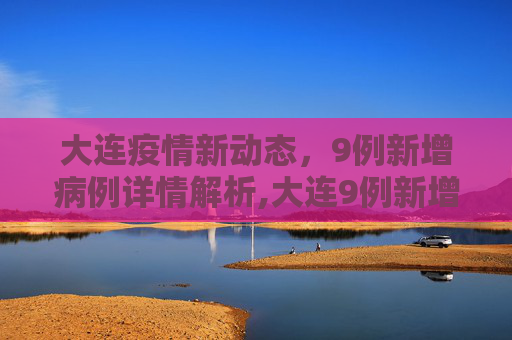 大连疫情新动态，9例新增病例详情解析,大连9例新增病例详情