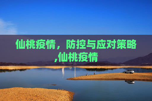 仙桃疫情，防控与应对策略,仙桃疫情