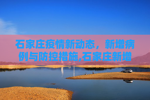 石家庄疫情新动态，新增病例与防控措施,石家庄新增