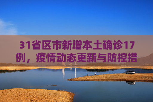 31省区市新增本土确诊17例，疫情动态更新与防控措施,31省区市新增本土确诊17例