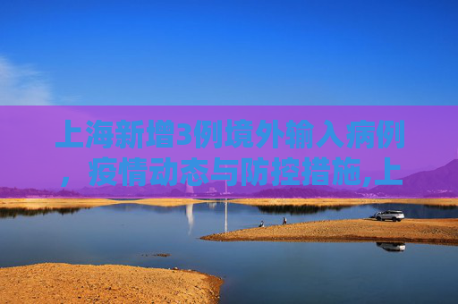 上海新增3例境外输入病例，疫情动态与防控措施,上海新增3例境外输入病例的简单介绍