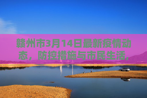 赣州市3月14日最新疫情动态，防控措施与市民生活,最新疫情3月14赣州