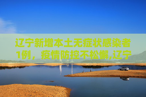 辽宁新增本土无症状感染者1例，疫情防控不松懈,辽宁新增本土无症状1例