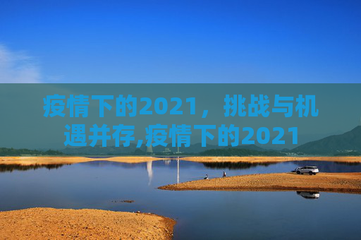 疫情下的2021，挑战与机遇并存,疫情下的2021