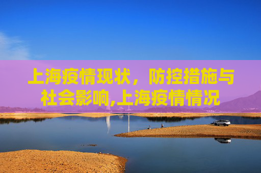 上海疫情现状，防控措施与社会影响,上海疫情情况