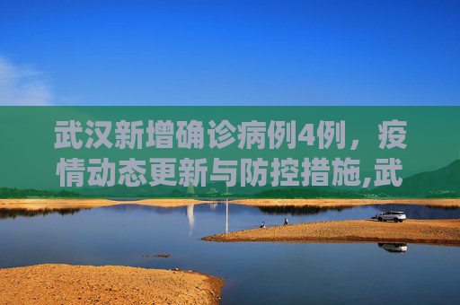 武汉新增确诊病例4例，疫情动态更新与防控措施,武汉新增确诊病例4例