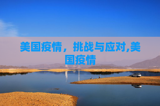 美国疫情，挑战与应对,美国疫情