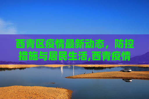 西青区疫情最新动态，防控措施与居民生活,西青疫情最新动态