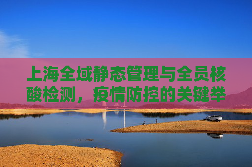 上海全域静态管理与全员核酸检测，疫情防控的关键举措,上海全域静态管理全员核酸