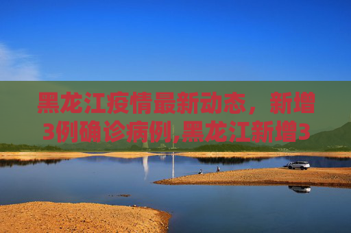 黑龙江疫情最新动态，新增3例确诊病例,黑龙江新增3例确诊