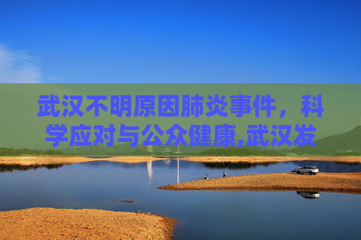 武汉不明原因肺炎事件，科学应对与公众健康,武汉发现不明原因肺炎