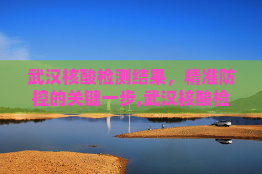 武汉核酸检测结果，精准防控的关键一步,武汉核酸检测结果
