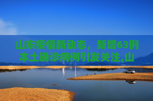 山东疫情新动态，新增63例本土确诊病例引发关注,山东新增63例本土确诊