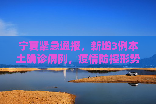 宁夏紧急通报，新增3例本土确诊病例，疫情防控形势严峻,关于宁夏新增3例本土确诊的信息