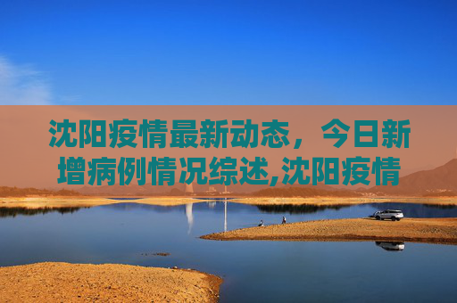 沈阳疫情最新动态，今日新增病例情况综述,沈阳疫情最新消息今天新增病例