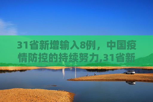 31省新增输入8例，中国疫情防控的持续努力,31省新增输入8例