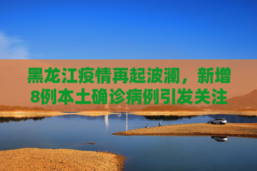 黑龙江疫情再起波澜，新增8例本土确诊病例引发关注,黑龙江新增8例本土确诊病例