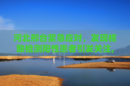 河北邢台紧急应对，发现核酸检测阳性患者引发关注,河北邢台发现核酸检测阳性患者