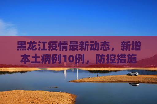 黑龙江疫情最新动态，新增本土病例10例，防控措施加强,黑龙江新增本土10例