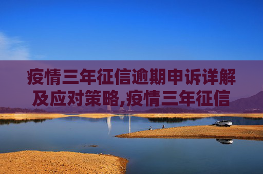 疫情三年征信逾期申诉详解及应对策略,疫情三年征信逾期申诉详解及应对策略