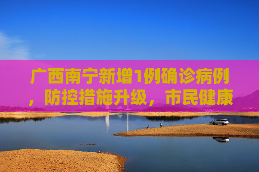 广西南宁新增1例确诊病例，防控措施升级，市民健康安全受关注,广西南宁新增1例确诊病例