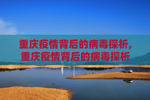 重庆疫情背后的病毒探析,重庆疫情背后的病毒探析