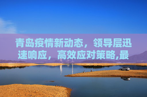 青岛疫情新动态，领导层迅速响应，高效应对策略,最新青岛疫情领导处理
