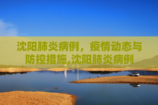 沈阳肺炎病例，疫情动态与防控措施,沈阳肺炎病例