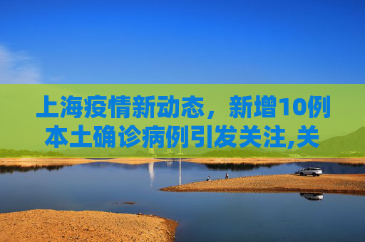 上海疫情新动态，新增10例本土确诊病例引发关注,关于上海新增10例本土确诊病例的信息