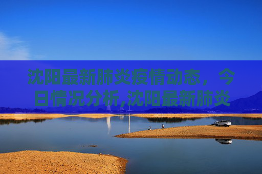 沈阳最新肺炎疫情动态，今日情况分析,沈阳最新肺炎疫情今天