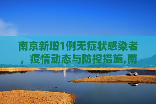 南京新增1例无症状感染者，疫情动态与防控措施,南京新增1例无症状