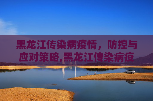 黑龙江传染病疫情，防控与应对策略,黑龙江传染病疫情